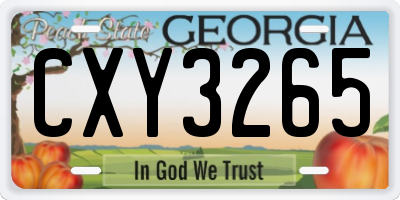 GA license plate CXY3265