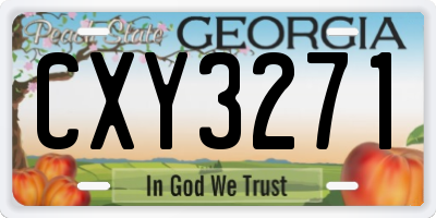 GA license plate CXY3271
