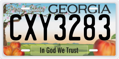 GA license plate CXY3283