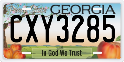 GA license plate CXY3285