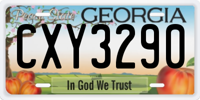 GA license plate CXY3290