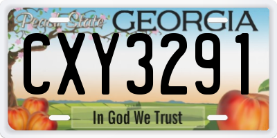 GA license plate CXY3291