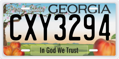 GA license plate CXY3294