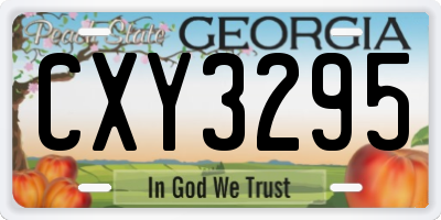 GA license plate CXY3295