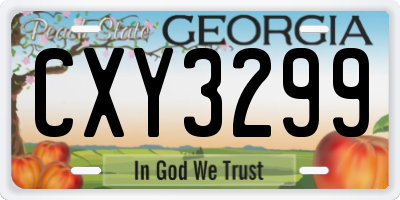 GA license plate CXY3299