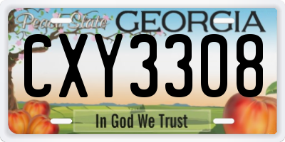 GA license plate CXY3308