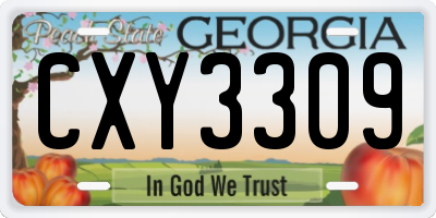 GA license plate CXY3309