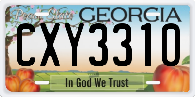 GA license plate CXY3310