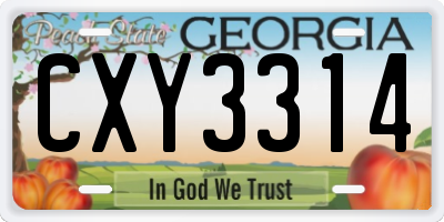 GA license plate CXY3314