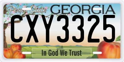 GA license plate CXY3325