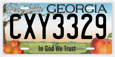 GA license plate CXY3329