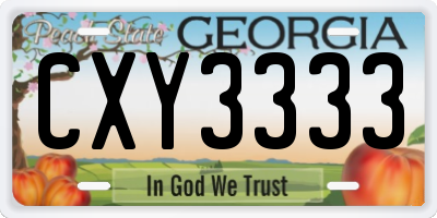 GA license plate CXY3333