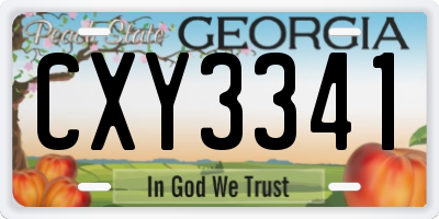 GA license plate CXY3341