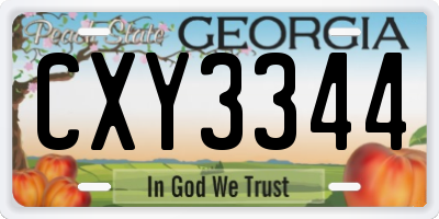 GA license plate CXY3344