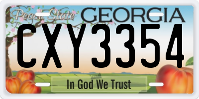 GA license plate CXY3354