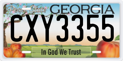 GA license plate CXY3355