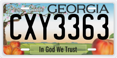 GA license plate CXY3363