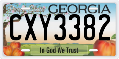 GA license plate CXY3382