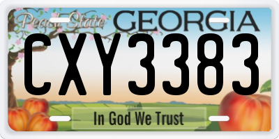 GA license plate CXY3383