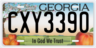 GA license plate CXY3390