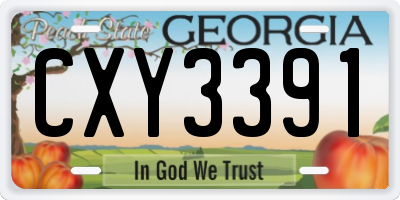 GA license plate CXY3391