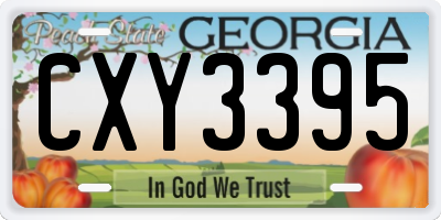 GA license plate CXY3395