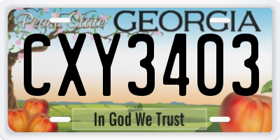 GA license plate CXY3403
