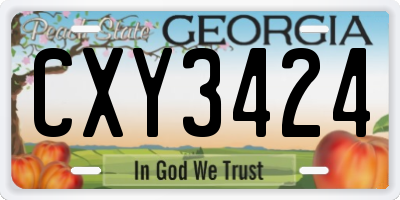 GA license plate CXY3424