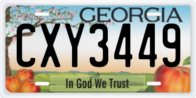 GA license plate CXY3449