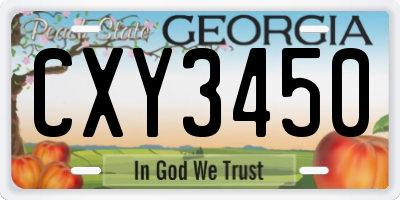GA license plate CXY3450