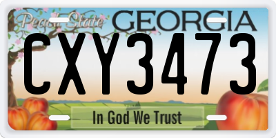 GA license plate CXY3473