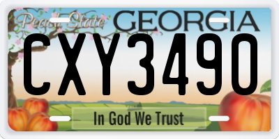 GA license plate CXY3490
