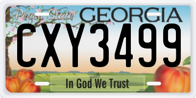GA license plate CXY3499