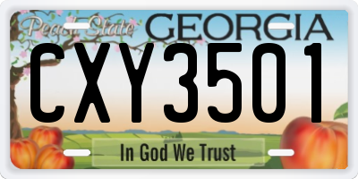 GA license plate CXY3501