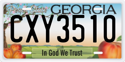 GA license plate CXY3510