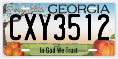 GA license plate CXY3512