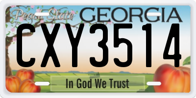 GA license plate CXY3514