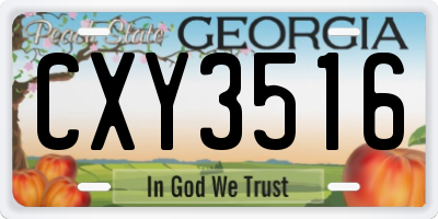 GA license plate CXY3516