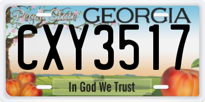 GA license plate CXY3517