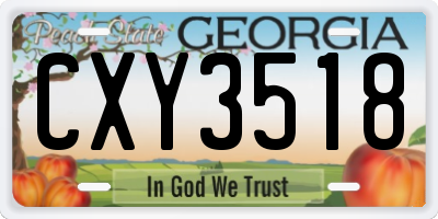 GA license plate CXY3518