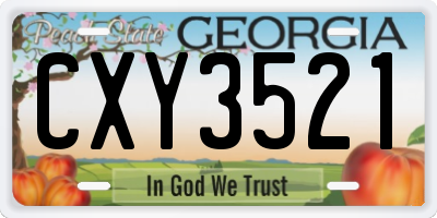 GA license plate CXY3521