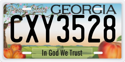 GA license plate CXY3528