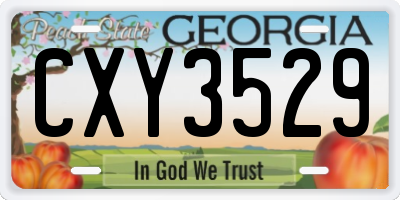 GA license plate CXY3529
