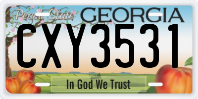 GA license plate CXY3531