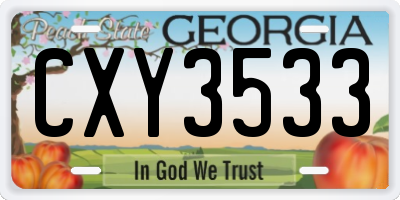 GA license plate CXY3533