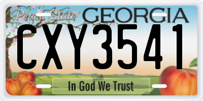 GA license plate CXY3541