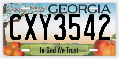 GA license plate CXY3542