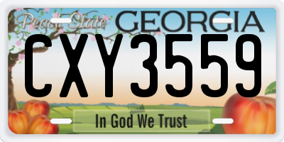 GA license plate CXY3559