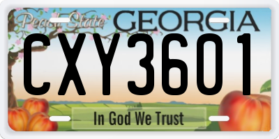GA license plate CXY3601