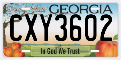 GA license plate CXY3602